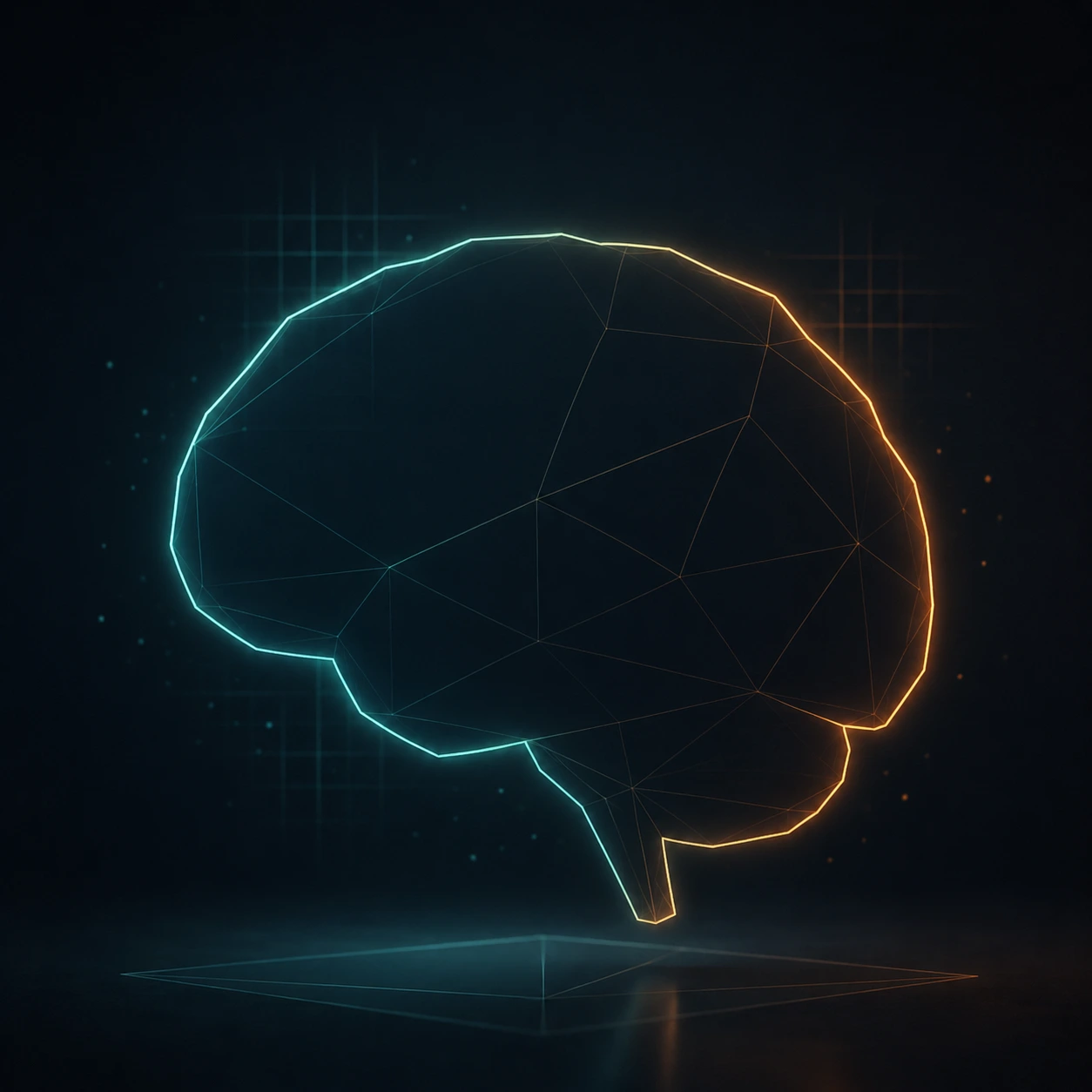 Brain Outline